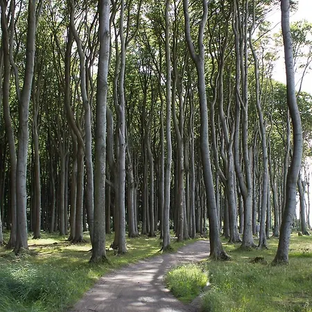Meerzeit Börgerende-Rethwisch
